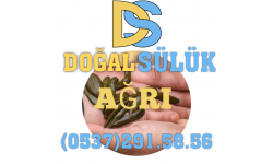 AĞRI DOĞUBEYAZIT SÜLÜK SATIŞI Toptan ve Perakende Sülük Satışı